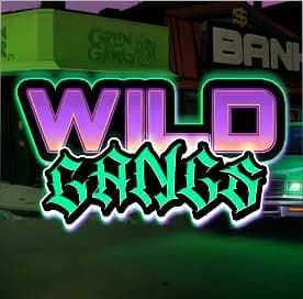 wild-gangs
