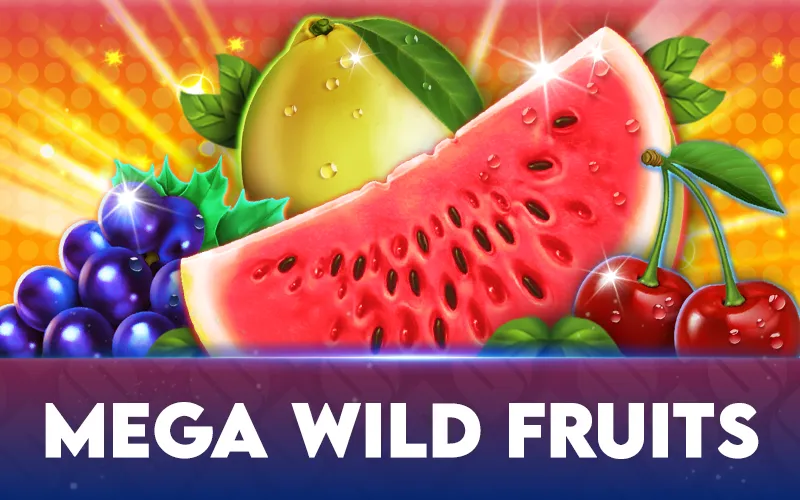 Mega Wild Fruits Review