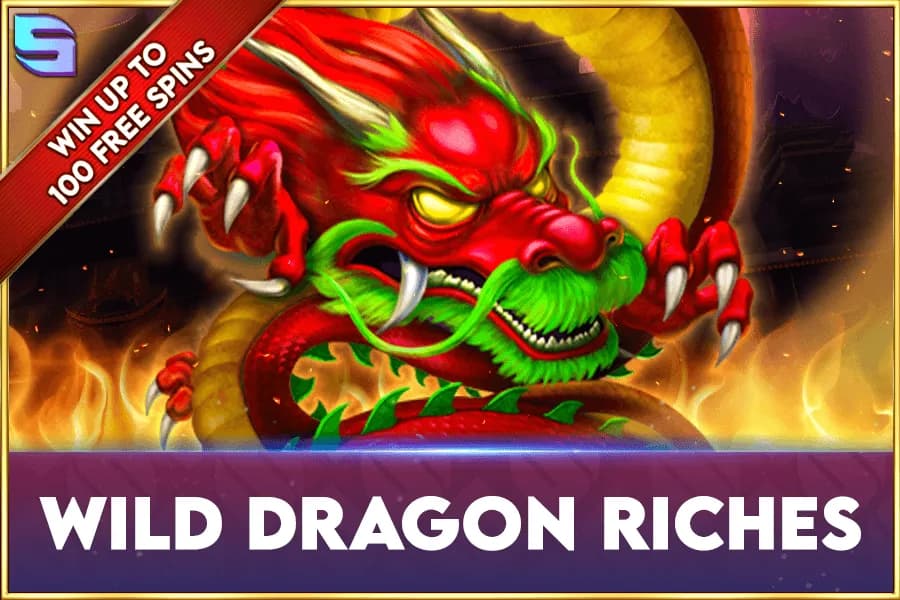 Wild Dragon Riches Review