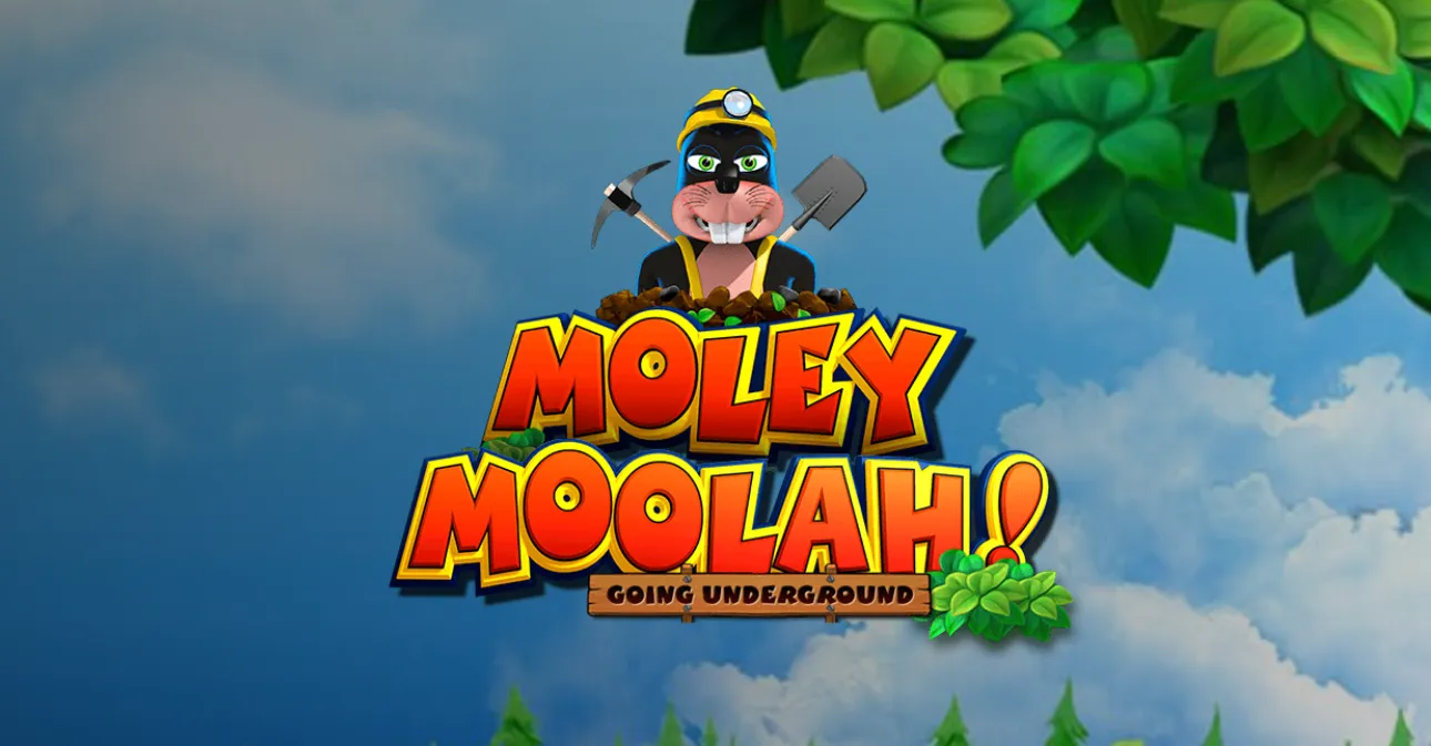 Moley Moolah Going Underground