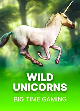Wild Unicorns Review