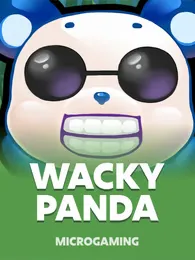 Wacky Panda Review