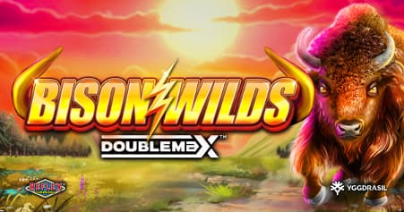 Bison Wilds DoubleMax
