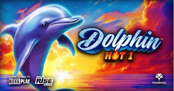 Dolphin Hot 1