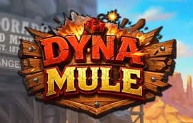 dyna-multe