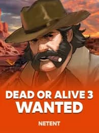 Dead or Alive 3: Wanted Review