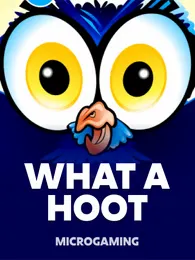What A Hoot Review