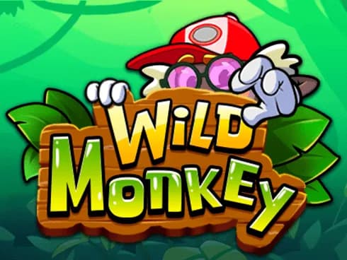 Wild Monkey Review