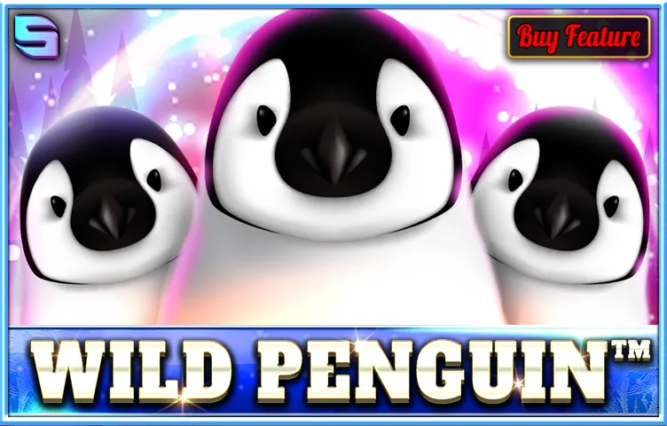 Wild Penguin Review