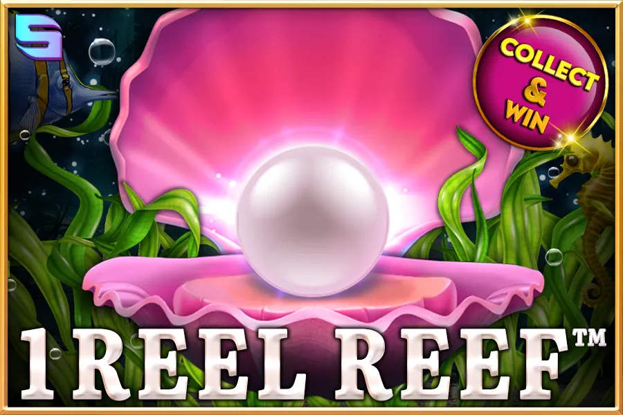 1 Reel Reef Review
