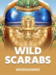 Wild Scarabs Review