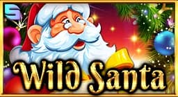 Wild Santa Review