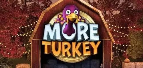 More Turkey Review