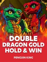 Double Dragon Gold: Hold and Win Review