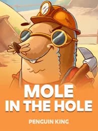 Mole In The Hole Review