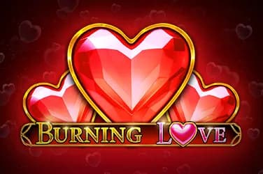 Burning Love Review