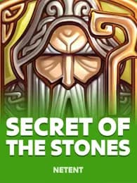 Secret of the Stones Review