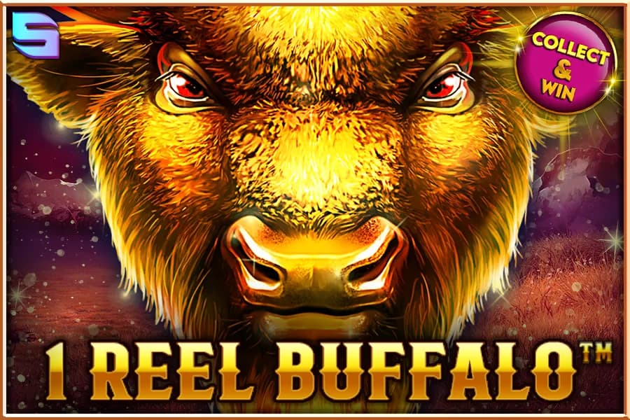 1 Reel Buffalo Review