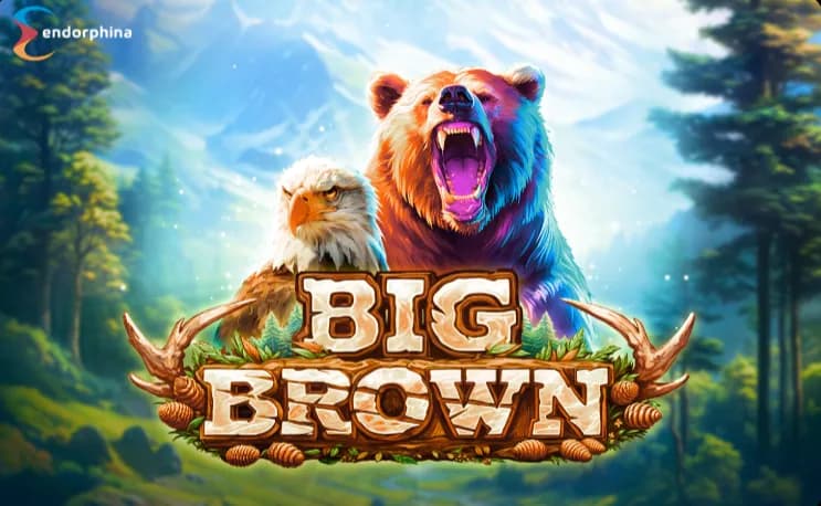 Big Brown Review