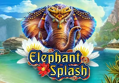 Elephant Splash review