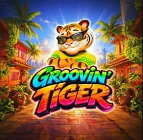 groovin-tiger