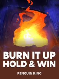 Burn it Up: Hold and Win Review