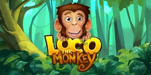 Loco the Monkey