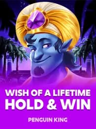 Wish of a Lifetime: Hold and Win Review