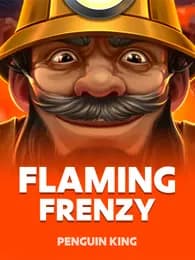 Flaming Frenzy Review