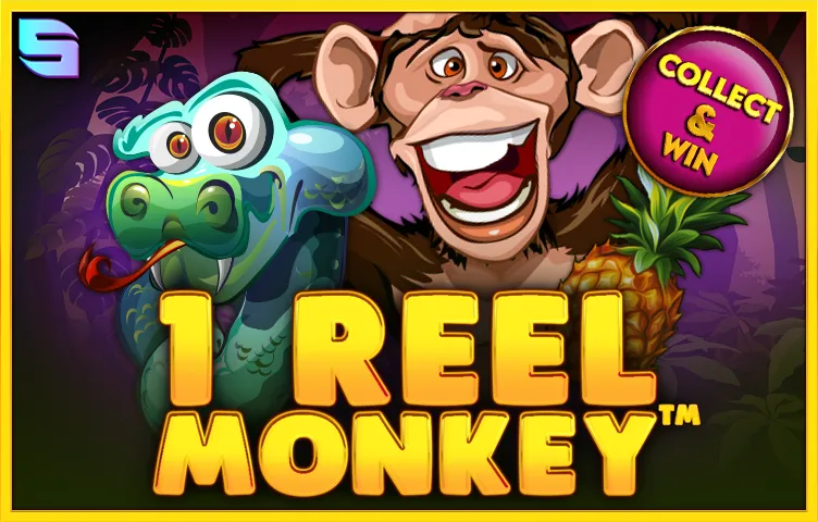 1 Reel Monkey Review
