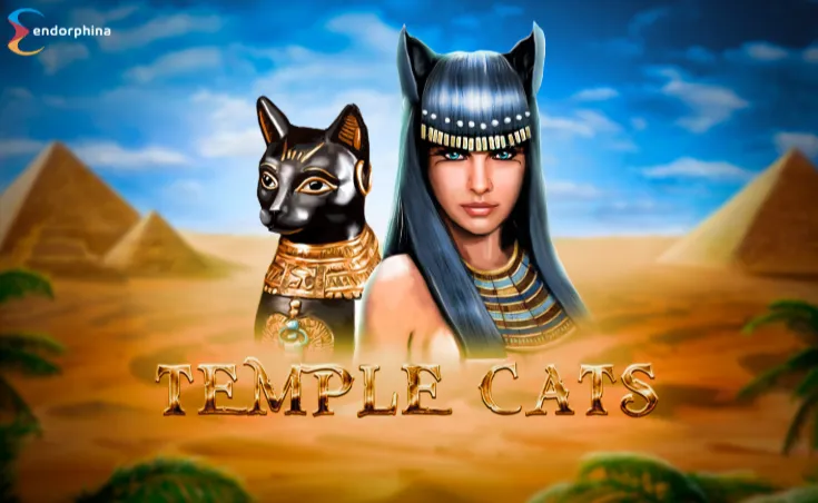 Temple Cats Review