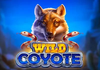 Wild Coyote review