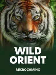 Wild Orient Review