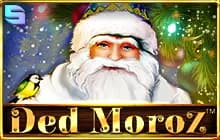 Ded Moroz Review