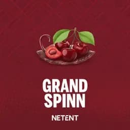 Grand Spinn Review