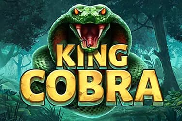 King Cobra REVIEW