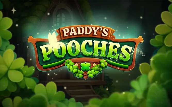 Paddy’s Pooches Review