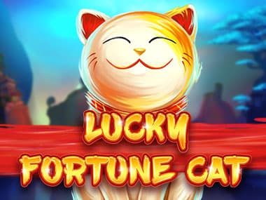 Lucky Fortune Cat Review